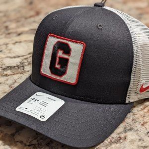 Men's Nike Black Georgia Bulldogs